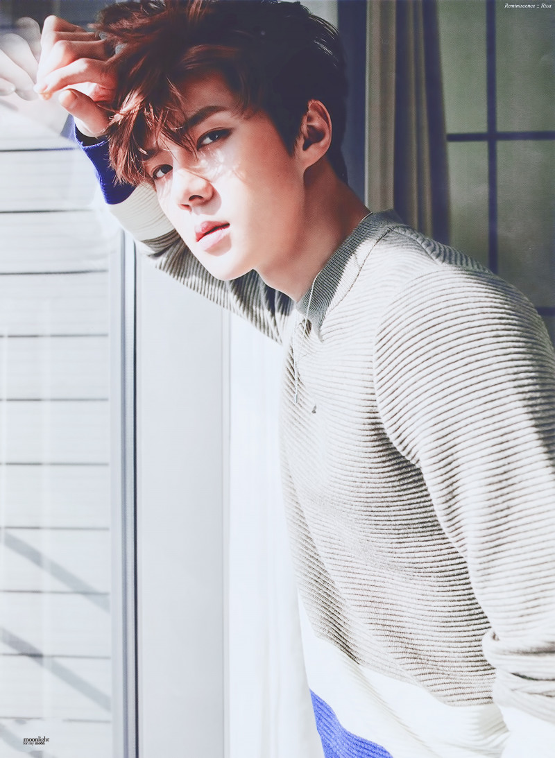 SEHUN (세훈・セフン)