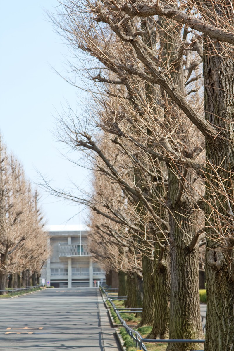 お互いに高学歴