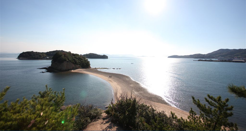 出身は香川県小豆島