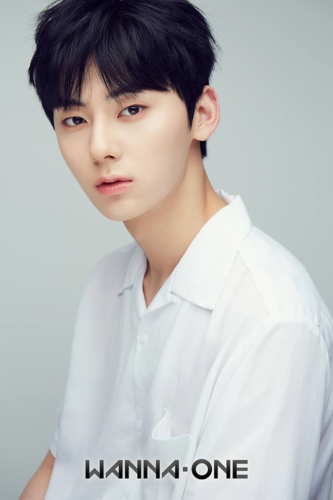 ファン・ミニョン （황민현/黃旼炫/Hwang Min Hyun）